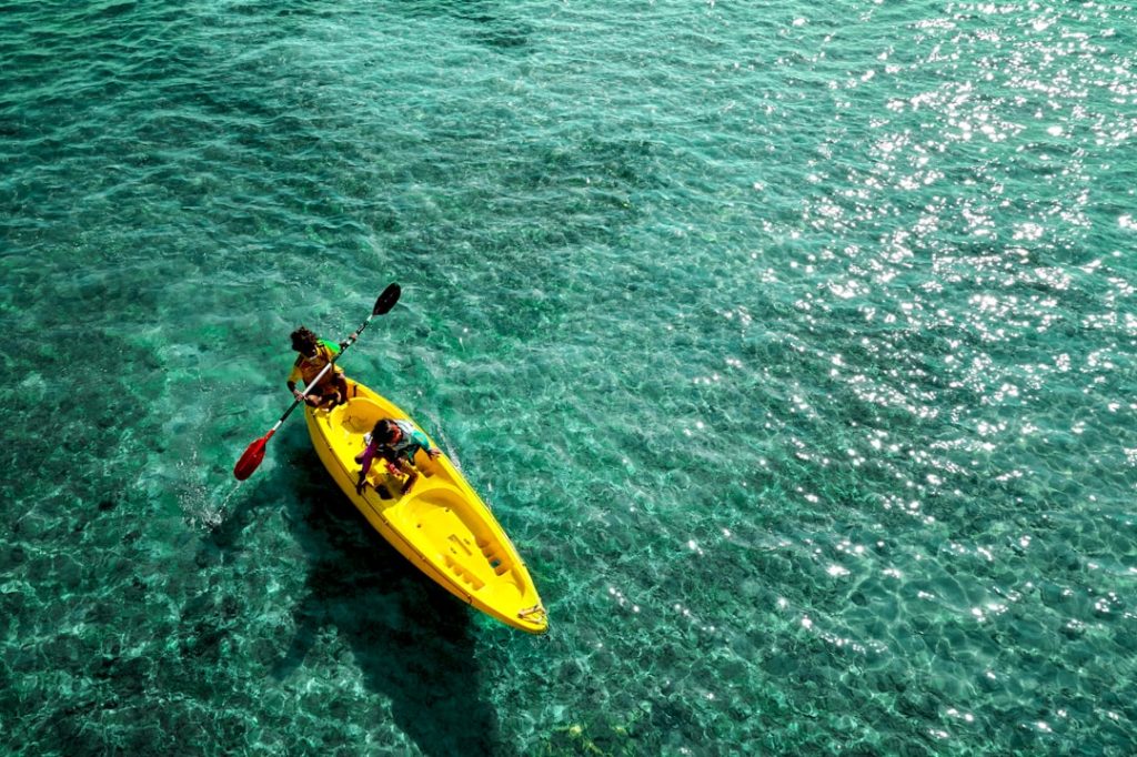 Équipement clé pour le kayak de mer : guide d'achat ultime