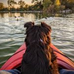 Exploration en kayak des lacs cachés de Scandinavie