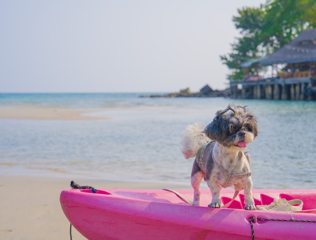 Maîtrisez la navigation en eau vive : conseils et techniques essentiels