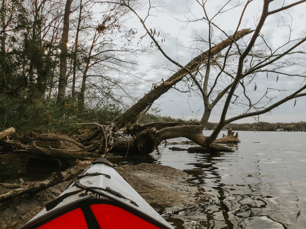 Top spots pour canoë-kayak près de Vallon-Pont-d'Arc à découvrir